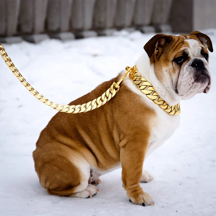 Pet Chain Lead Leash Pitbull Necklace Dog Chain Metal Gold Dog Leash Choke Chain