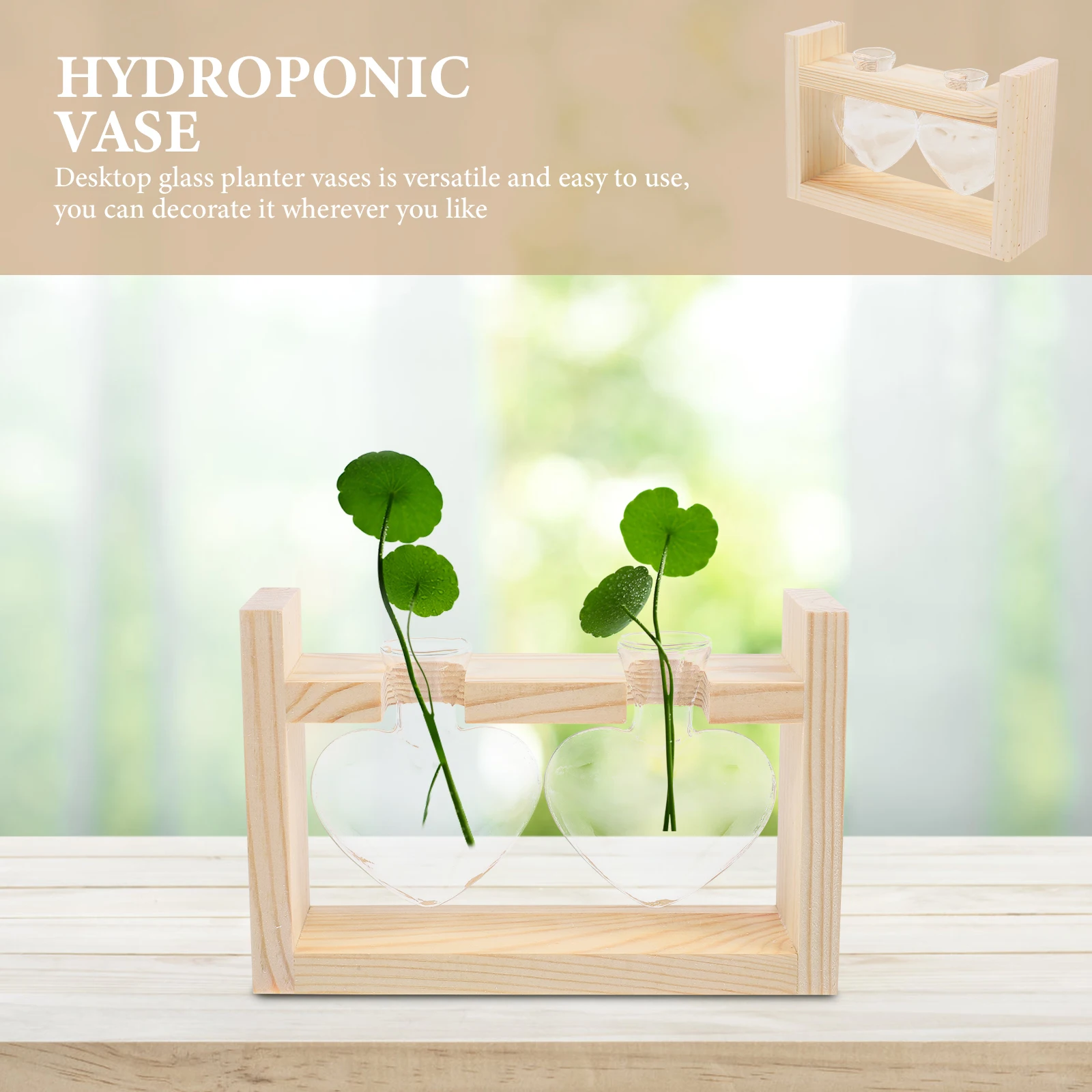 

Plant Pothos Vase Planter Terrarium Tabletop Glass Hydroponic Halloween Container Plants Office