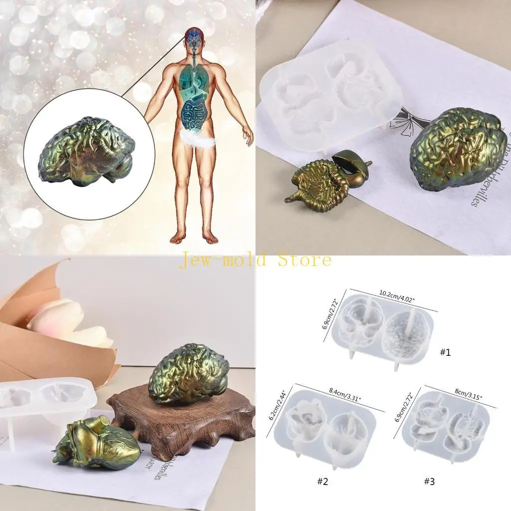 

C71B Human Heart Silicone Fondant Molds Halloween Candy Chocolate Mold