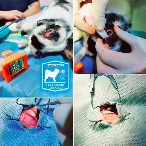 

Veterinary Mainstream EtCO2 Monitoring Equipment Capnograph With Compatible EtCO2 Sensor Animal Breathing Detection Accessories