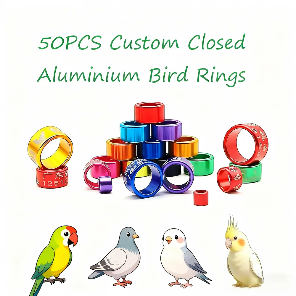 50 قطعة خواتم الطيور الألومنيوم المغلقة المخصصة 2025 أسود 2026 الأخضر كناري البجريجار الذهبي (2.6 مللي متر إلى 9.0 مللي متر)-الوليد 10 أيام