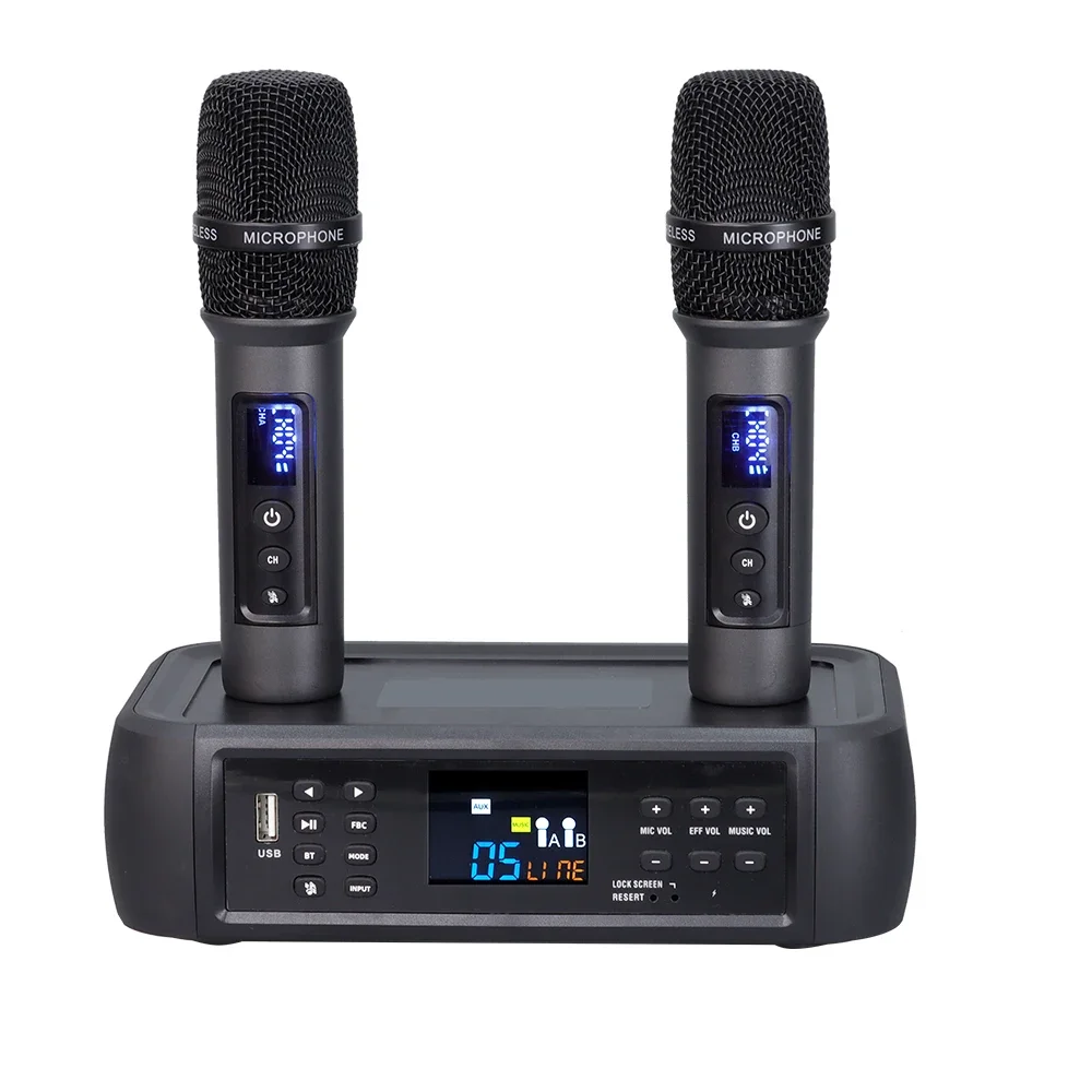 High Quality Professional DSP Wireless Microphone with Type C Connector for Studio Use or Portable Use