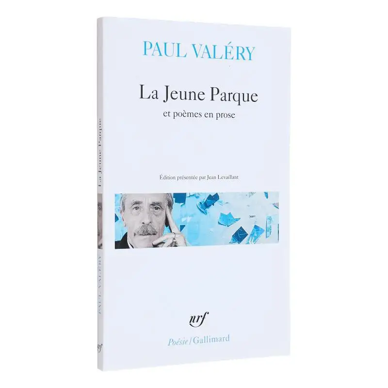 

The Young Parkthe AngelAgathabroken Stories Paul Valery Gallimard 9782070317929 Book