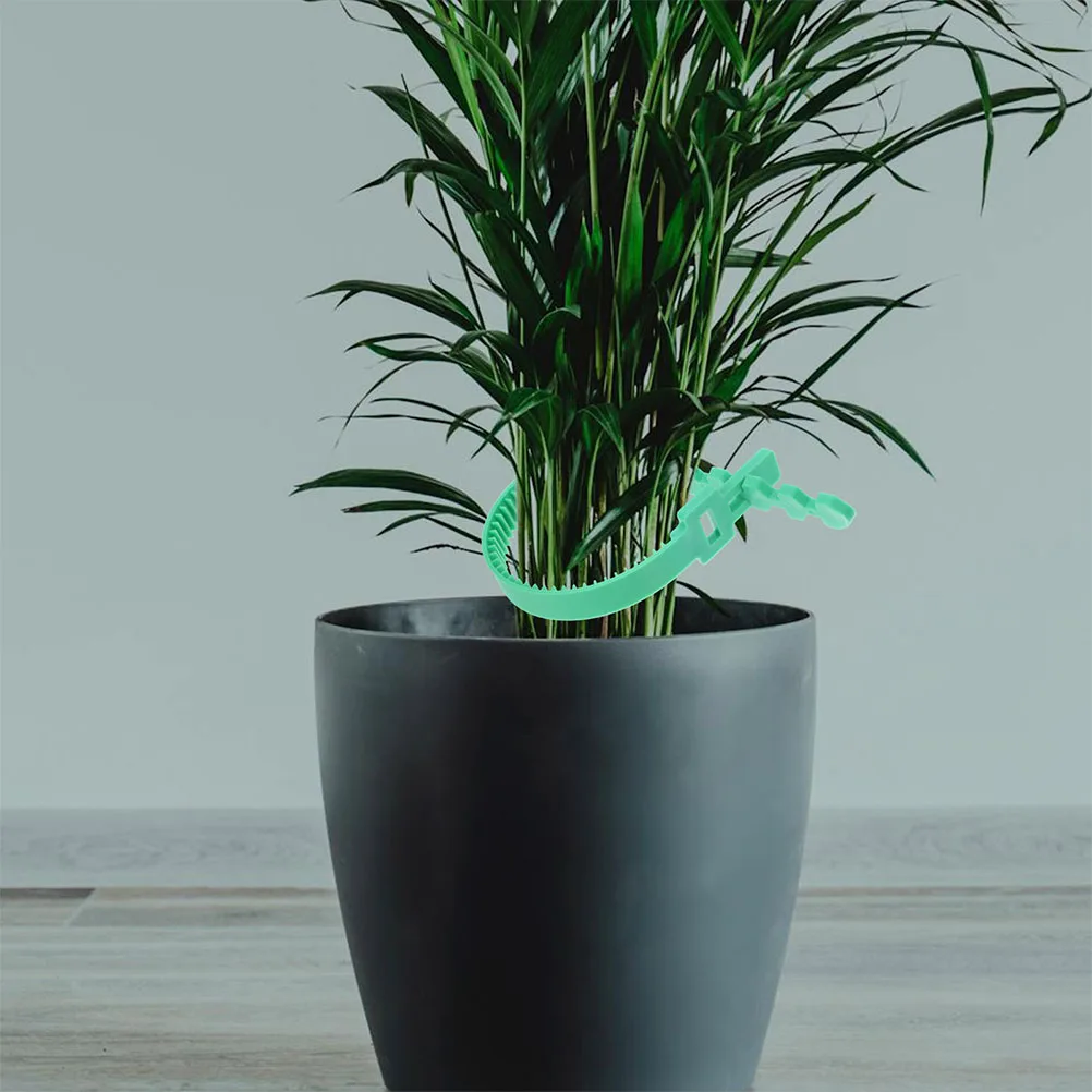 

12Pcs Garden Plant Twist Ties Adjustable Green Reusable Flexible Stem Support Bands for Tree Shrubs Vegetable Plants Cable