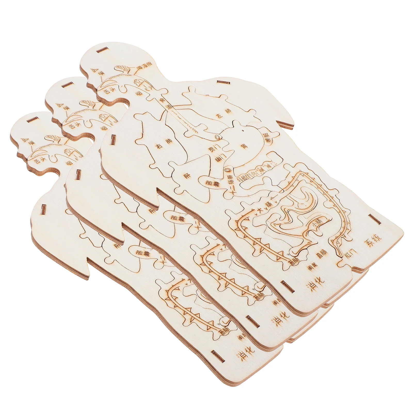 

3 Pcs Wooden Plug Anatomy Toy Equipment Children Body Organs Cognitive Tool Toys