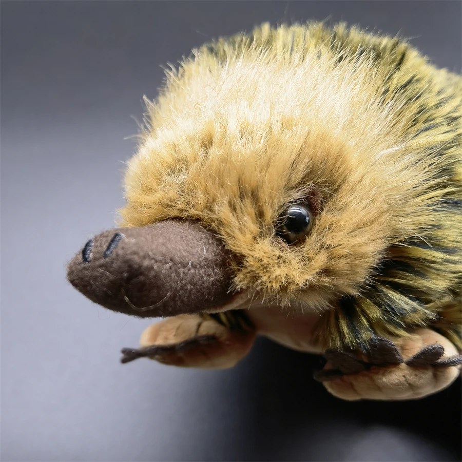 Realistisches Echidna-Plüschtier, Maulwurf-Plüschtier, lebensechter stacheliger Ameisenbär, Stofftier, Echidna-Simulationspuppe, Geschenk
