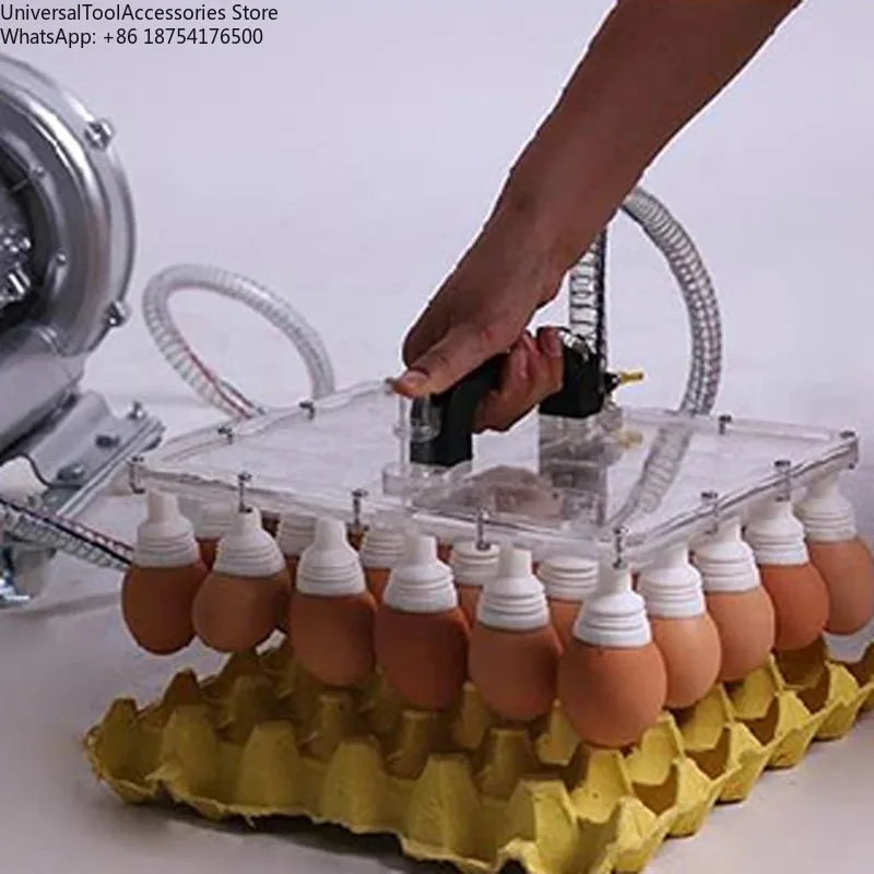 30pcs Vacuum Egg Stacker with Two Handles Chicken & Duck Egg Sucking Tool for Kitchen Organization Accessory