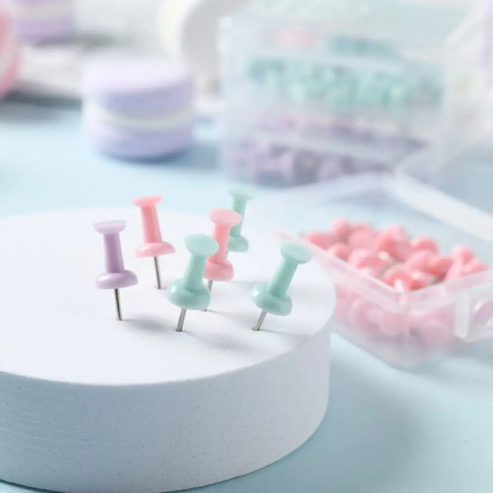 Boxed Macaron Color Pushpin Thumbtac Plastic Small Fresh Board Push Pin Fixing Pin Thumb Tacks Office
