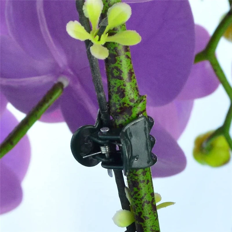 20-100PCS Garden Plastic Orchid Stem Clips Plant Vine Clamp Grafting Clip Tied Butterfly Tomato Bundle Branch Accessories Tools