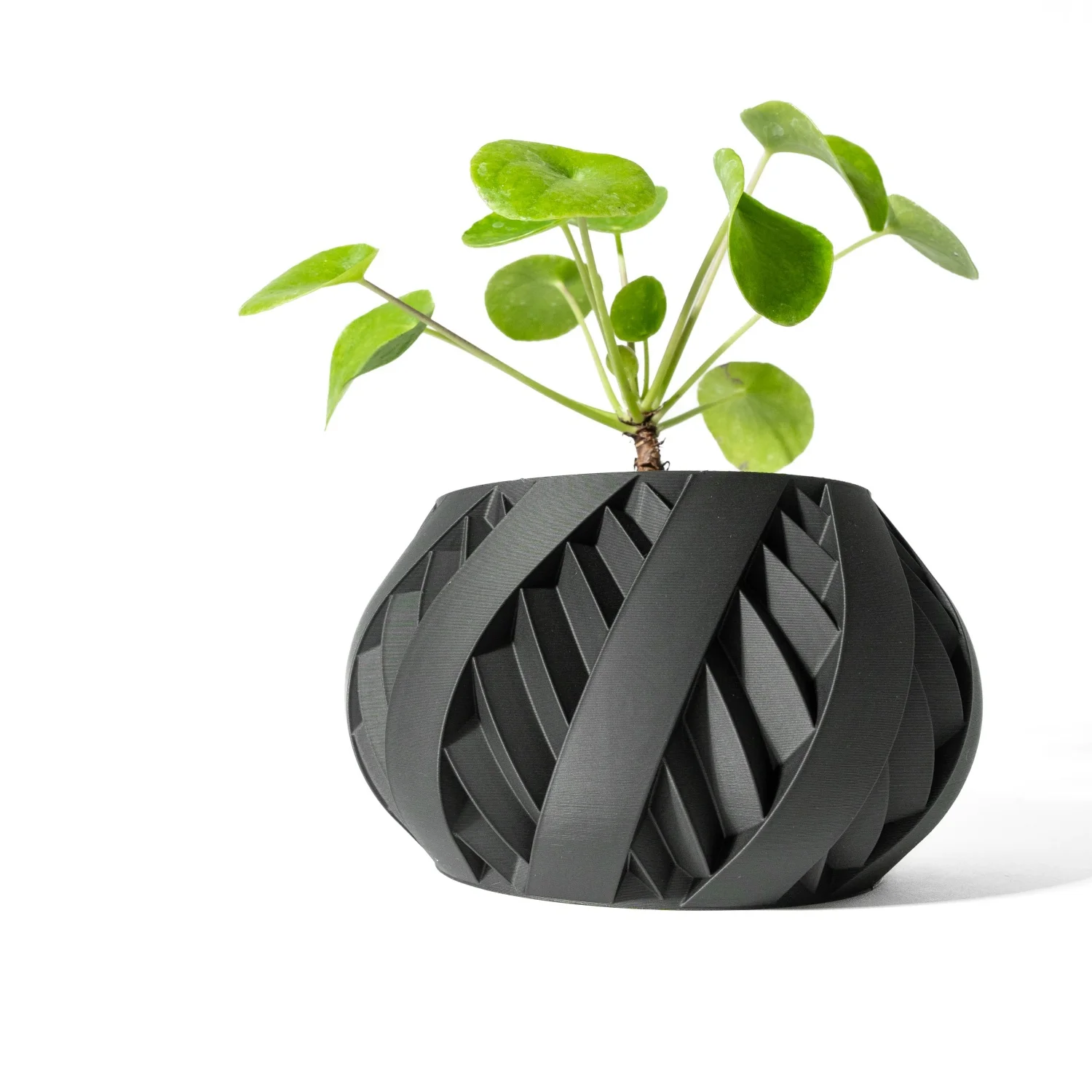 

Modern Minimalist 3D Printed Plant Pot – Biodegradable Flower Planter for Home Decor, Eco-Friendly Sustainable Gift (Silvo)