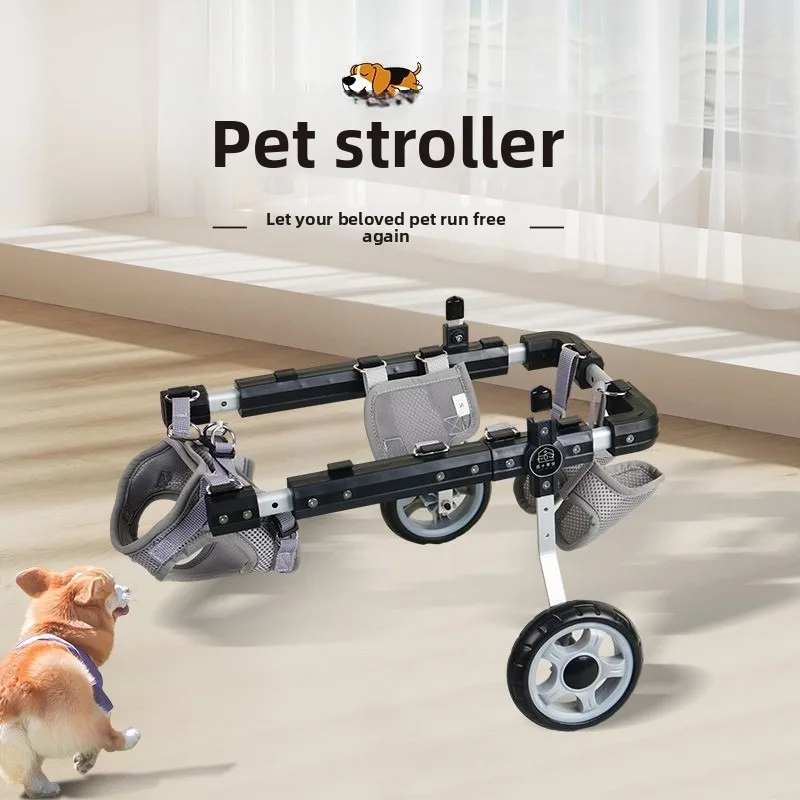 Rear Support Cart for Cats & Small Dogs, Adjustable for Paralysis (Teddy) | Multi-Pet Rehabilitation & Mobility Solution