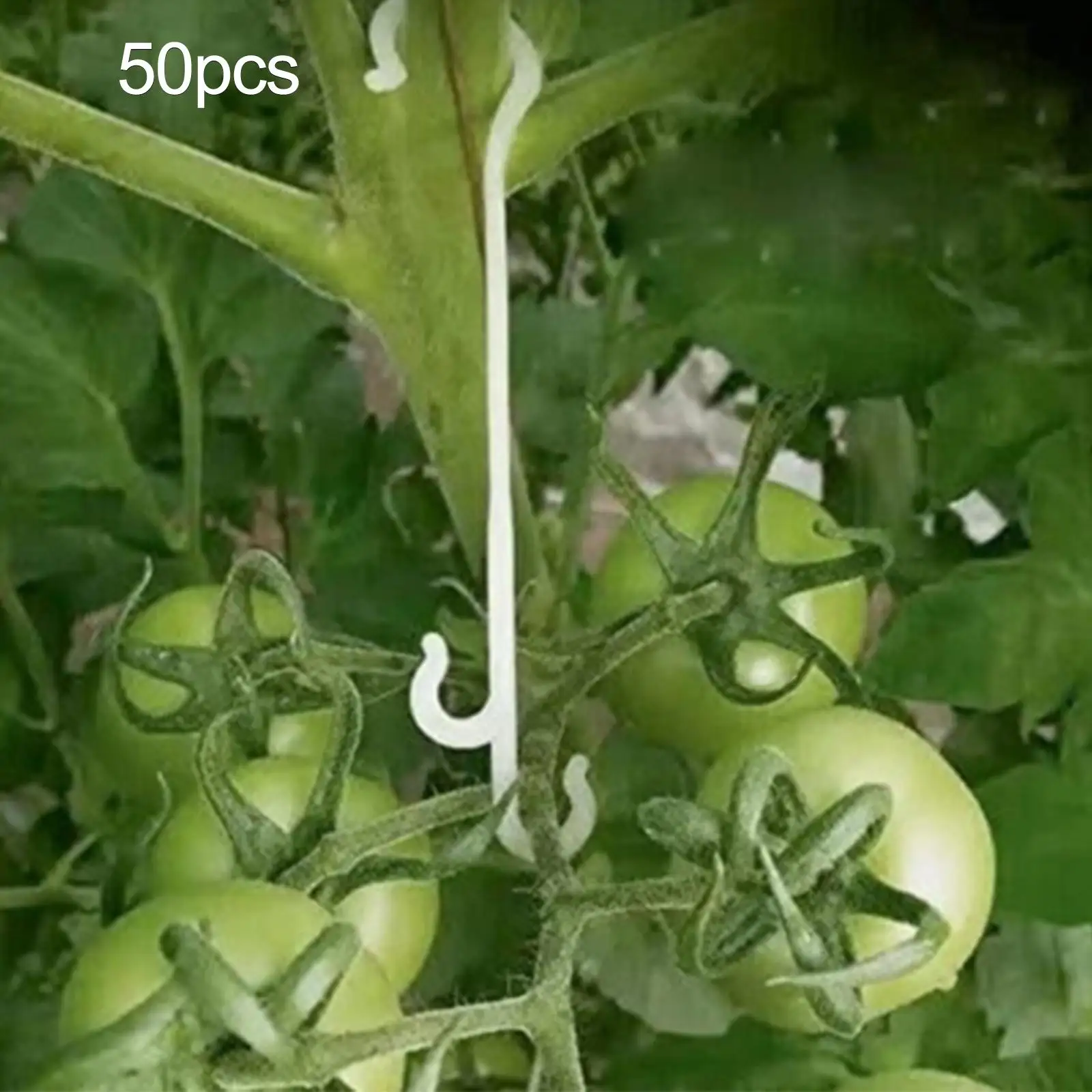50Pcs Tomato Support Clips Reuseable New Growth Forms Support Cucumber Plants Clips for Tomatoes Climbing Plants Cucumber Loofah