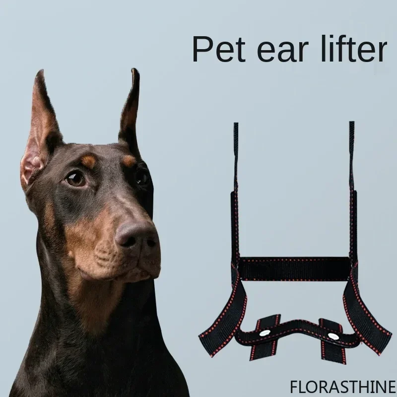 Dog Ear Stand Ear Correction Fixation Tool Doberman German Shepherd Dedicated Vertical Dogs Accessories Dog Lifter