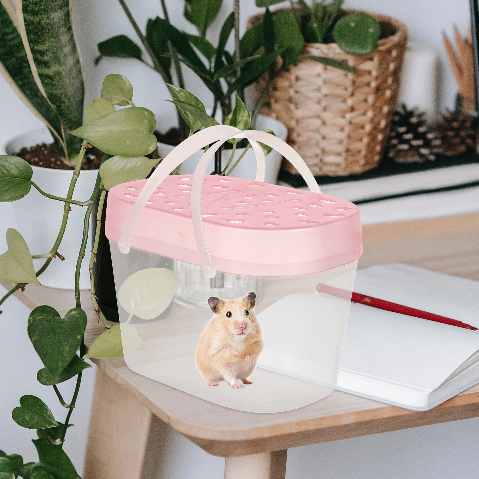 

2pcs Pet Carrying Box Reptile Carrier Plastic Cages Outdoor Hamster Accessories Transport Thickened Lid Sealed Climb Prevention