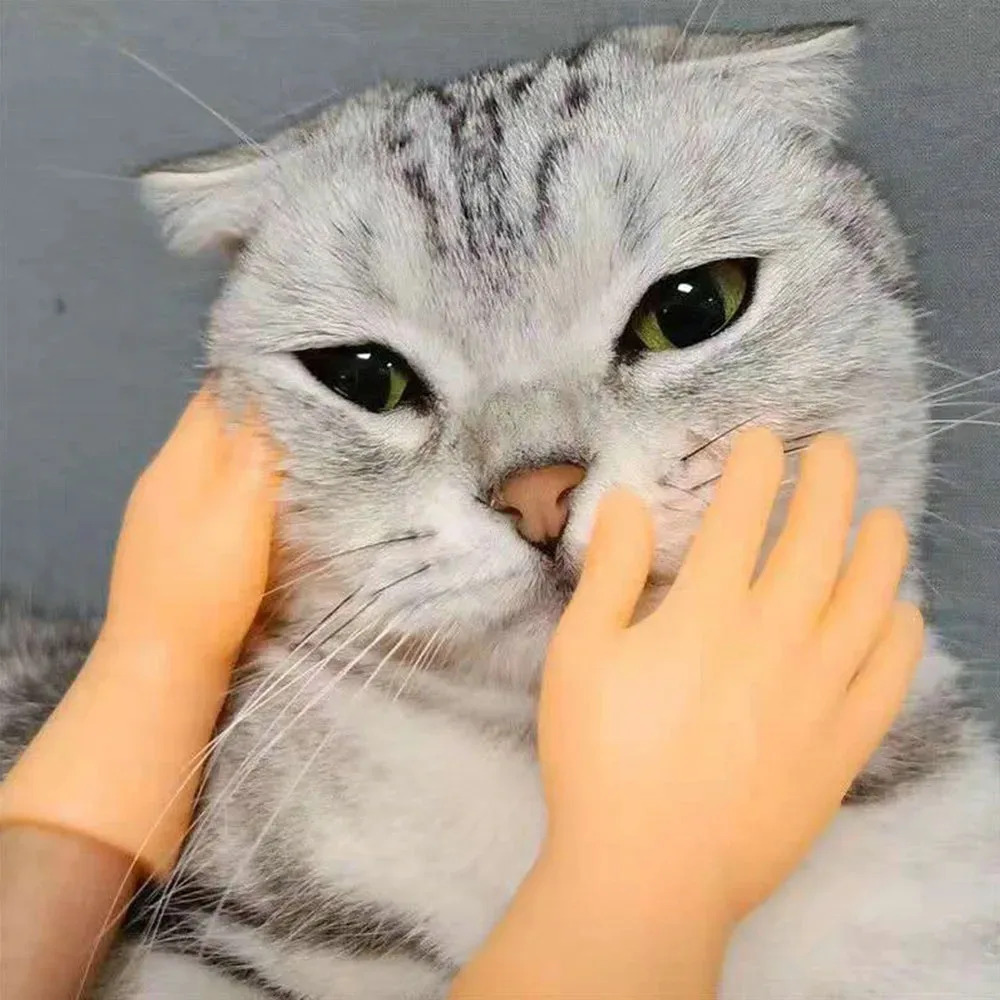 Mini Hände Modell winzige Hände Katze Massage-Tool weiche lustige Silikon handschuhe Finger handschuhe kleinen Finger Erwachsenen Kind Neuheit Spielzeug