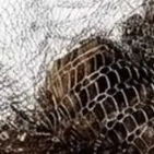Garden Guards In Silver Color For Safe Plant Growth Stopping Voles From Digging Up Bulbs Mesh Cages For Outdoor Gardening