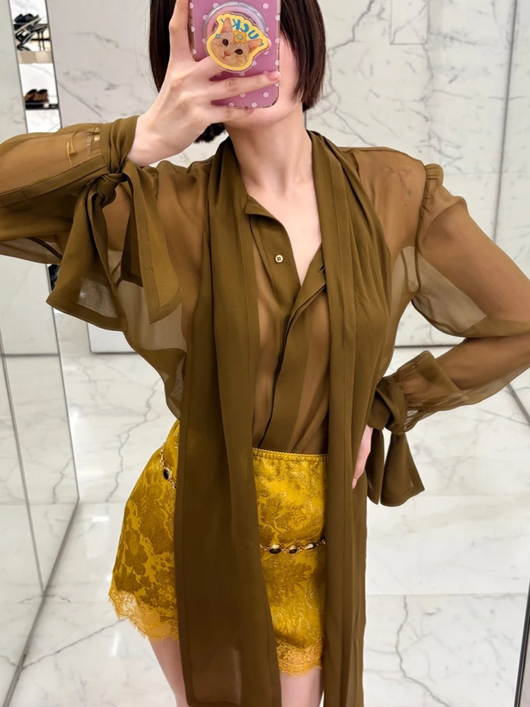 Lady's sheer chiffon blouse - long-sleeved shirt with flowing ribbons and bow at the neckline, 2026 autumn new style