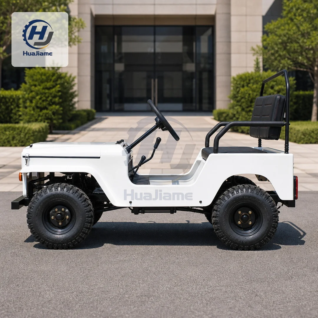 Custom 150CC Gas Dune Buggy High Performance All Terrain Cart Gear Transport Workhorse For Hunting Lodge And Safari Tour
