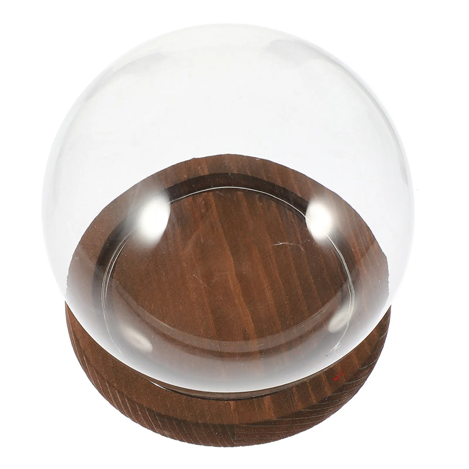 Preserved Flower Clear Glass Dome with Wooden Base Decorative Display Dome Transparent Glass Cover Preserved Flower Covers