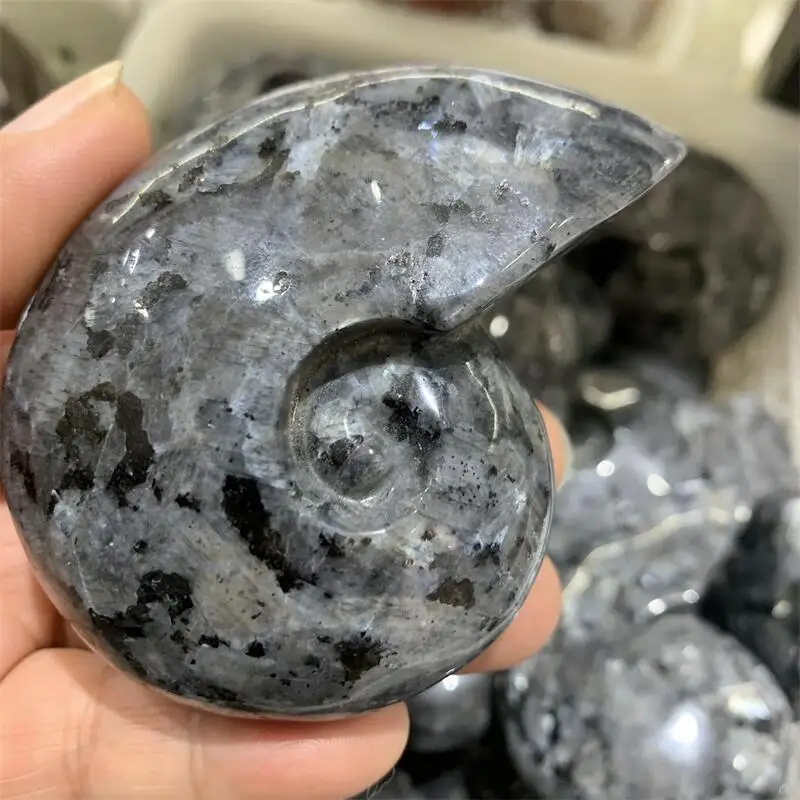 Natural Larvikite Snail Shell Carving Chakra Reiki Healing Statue Fengshui Home Decor Gift - Unique Shell Sculpture view 4