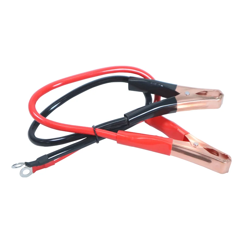 12 فولت 220 فولت تيار مستمر ذكي إلى التيار المتناوب 1000 واط 2000 واط موجة جيبية مركبة خارجية شنت الخلايا الضوئية الشمسية متعددة الوظائف العاكس