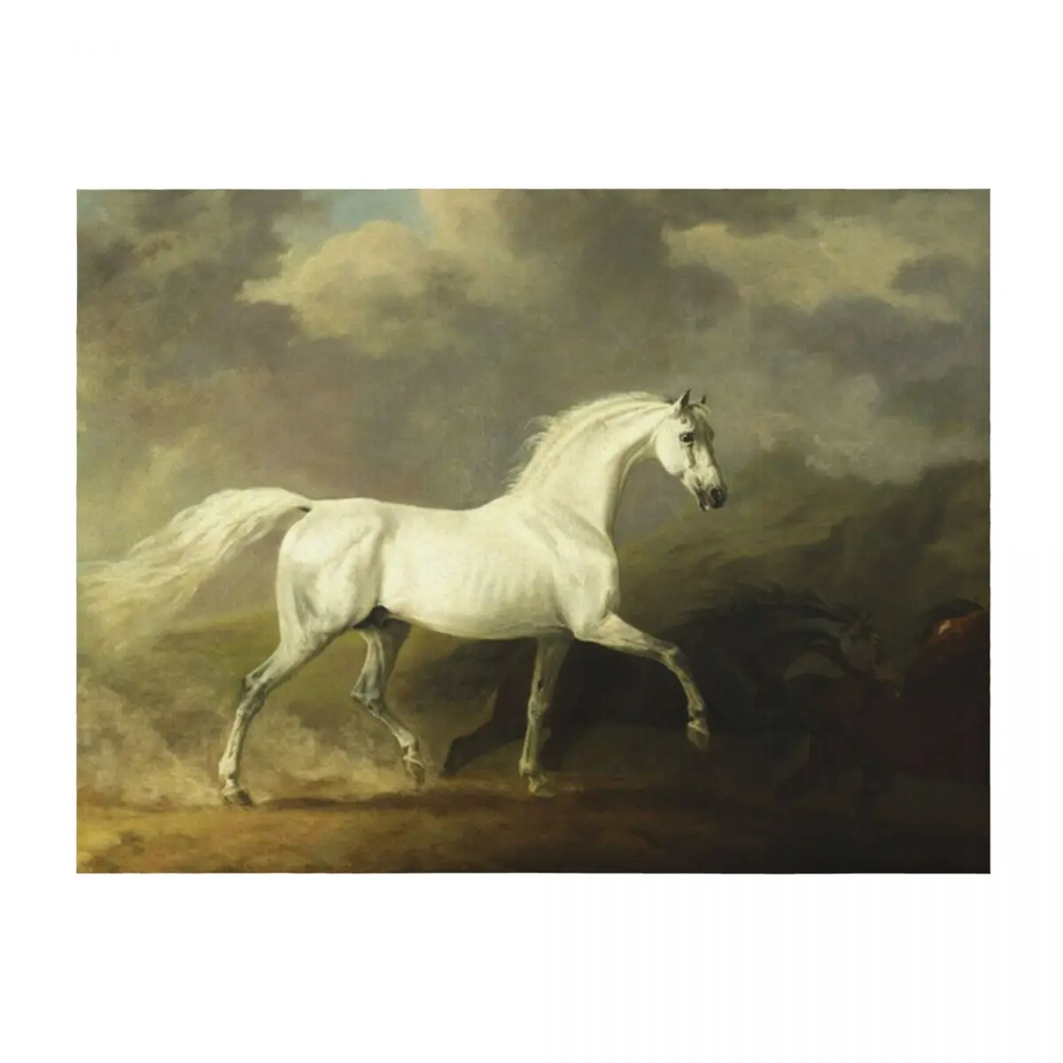 

Serene Equine Encounter Throw Blanket Bed Single Heavy Blankets For Baby Blankets