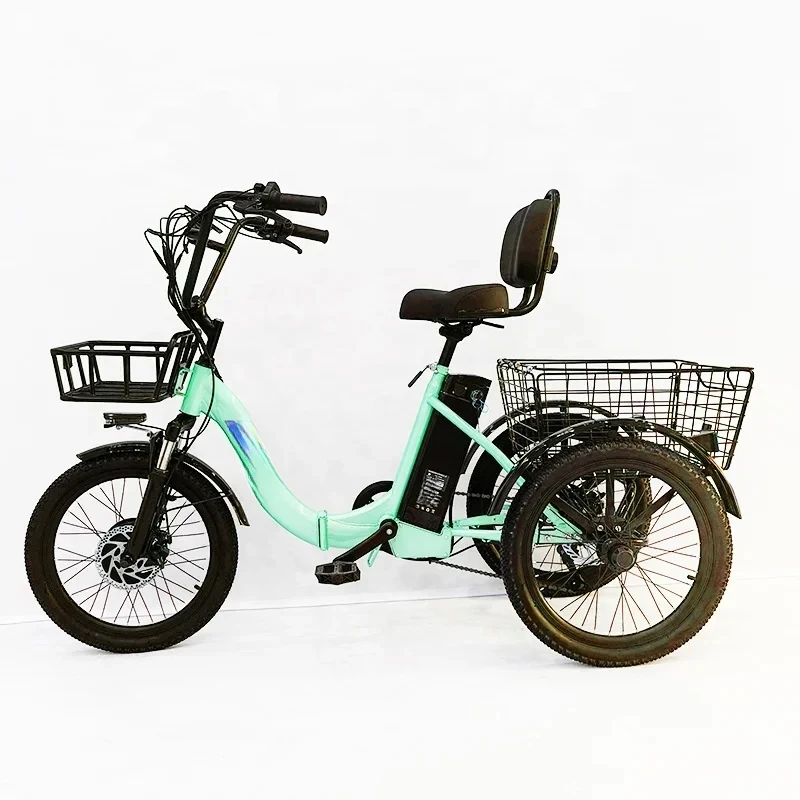 

20-Inch Foldable Cargo Tricycle (350W, 36V)
