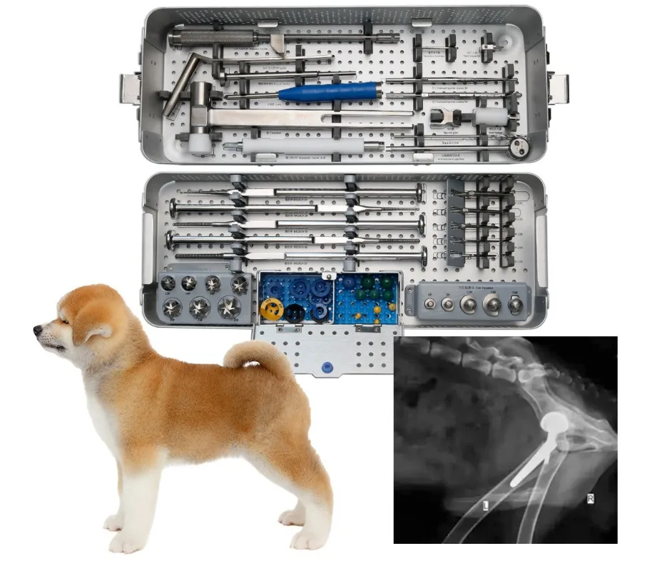 Joint prosthesis trial  Prosthesis System For Small and Large Animals Joint Repair Vet  Joint Replacement Set//