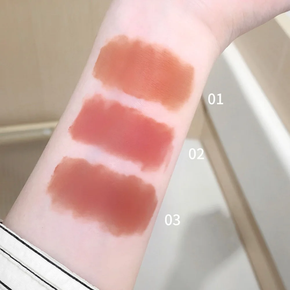 Matte Velvet Lip Gloss, batom líquido impermeável, Nude Brown Lips Tint, maquiagem de lama, Mousse Lip Glaze Cosméticos, 3 cores