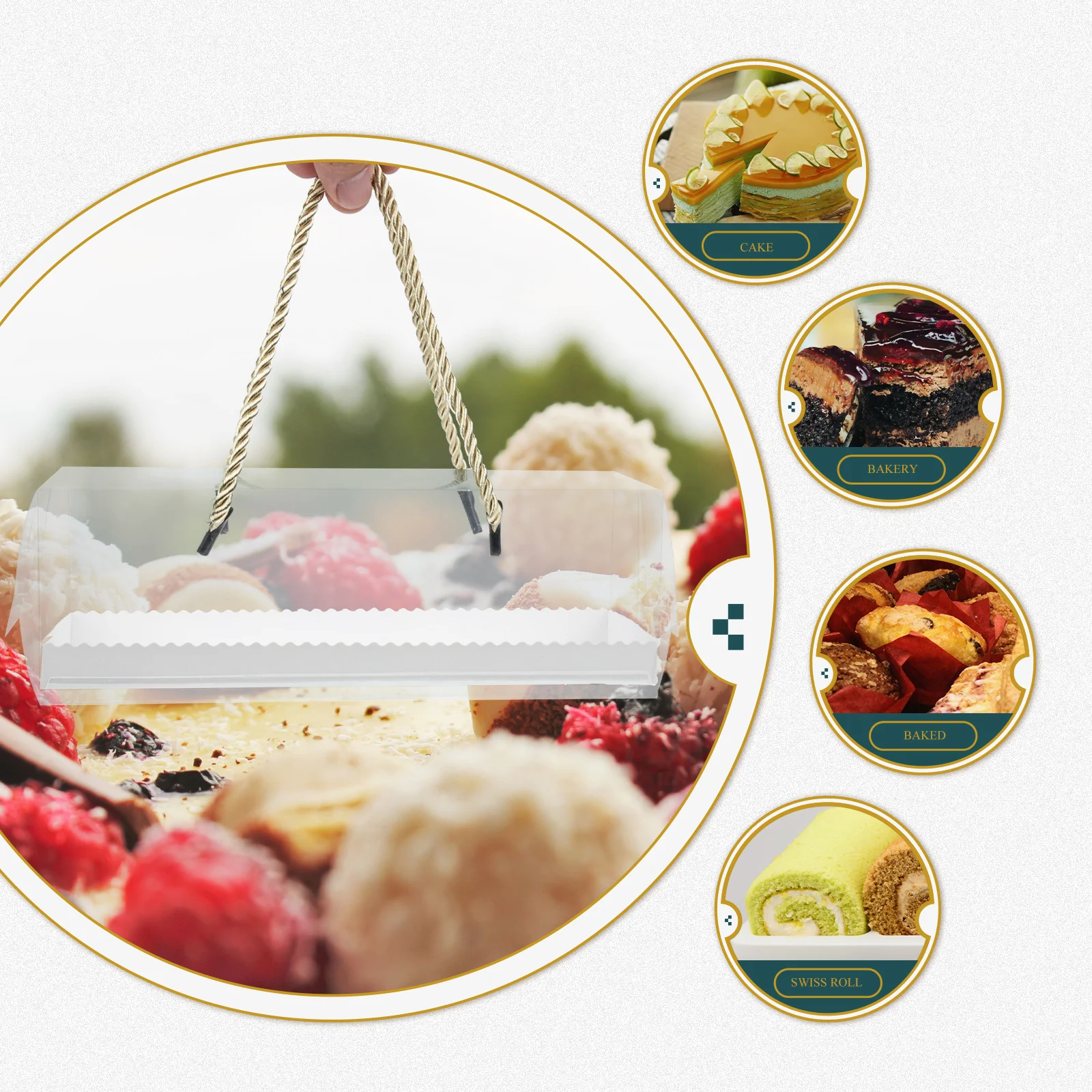 

8pcs Portable Roll Cake Box Clear Bakery Container For Cupcakes Sushi Sandwiches Food Packaging Individual Carry Case