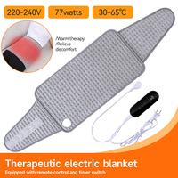 Electric Heating Pad Warm Physiotherapy Thermal Blanket Office Home Adjustable Temperature Waist Belt Warming Back Abdomen Warm