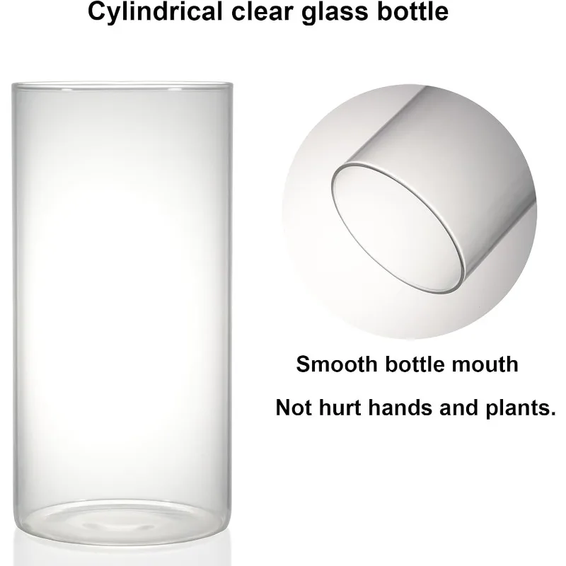 تررم نبات زجاجي لسطح المكتب مع ضوء النمو (الارتفاع: 7.8 بوصة العمق: 4 بوصة)، للنضرة، الطحلب، المناظر الطبيعية للبستنة المصغرة، خزان أسماك بيتا #4