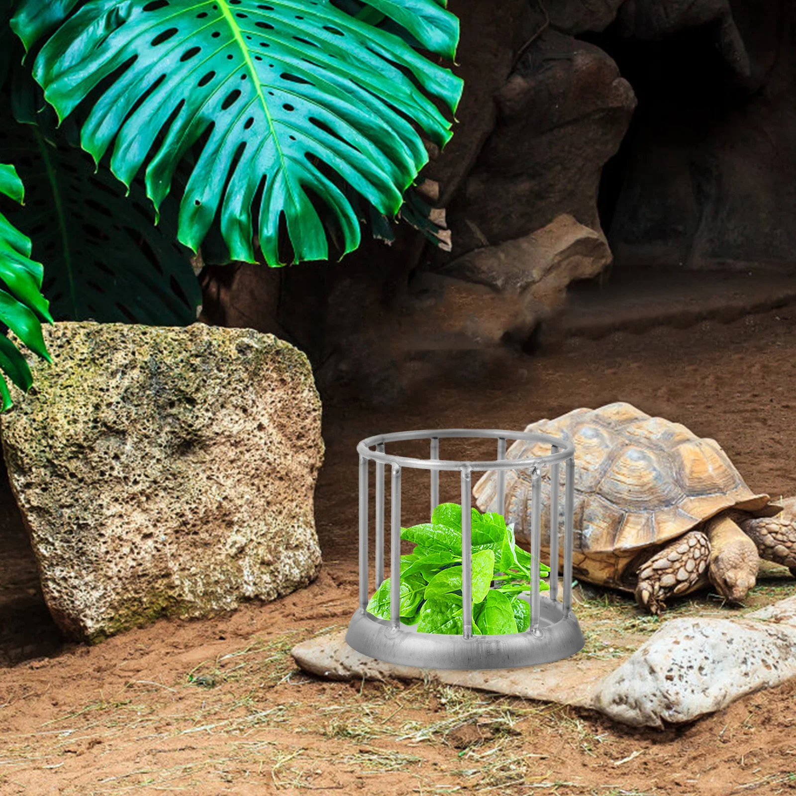 

Stainless Steel Reptile Food Dish Tortoise Water Bowl Feeder Durable Safe Decorative Aquarium Ornament Tortoise Feeding Dish