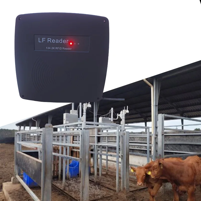 upgrade long distance 2.12x12mm glass tag up to 24cm 134.2Khz RFID stationary FDX-B fixed reader for buffalo farm animal pets