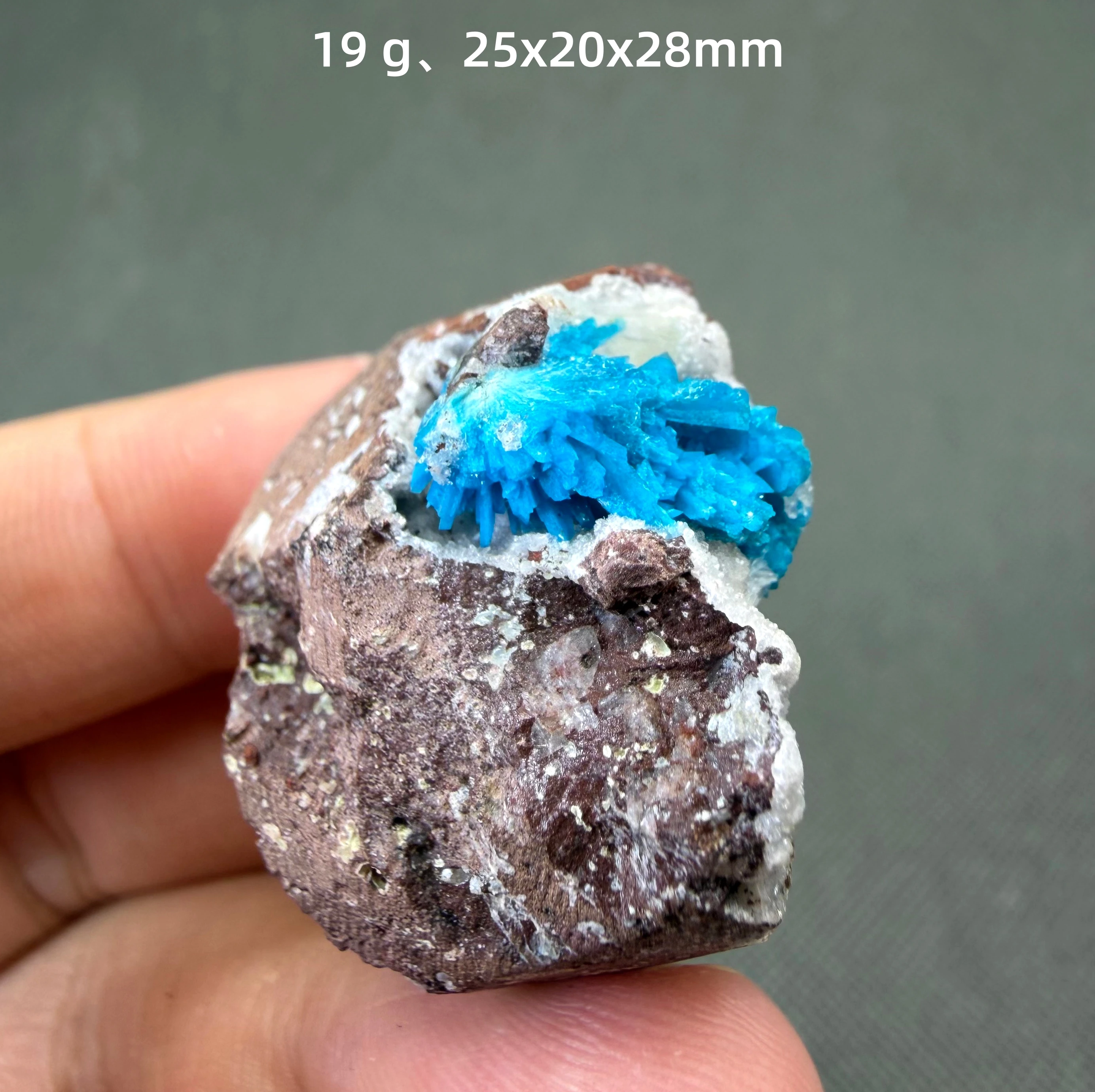 Natural Cavansite Crystal Cluster Electric Blue Radiating Spray Mineral Specimen Rare