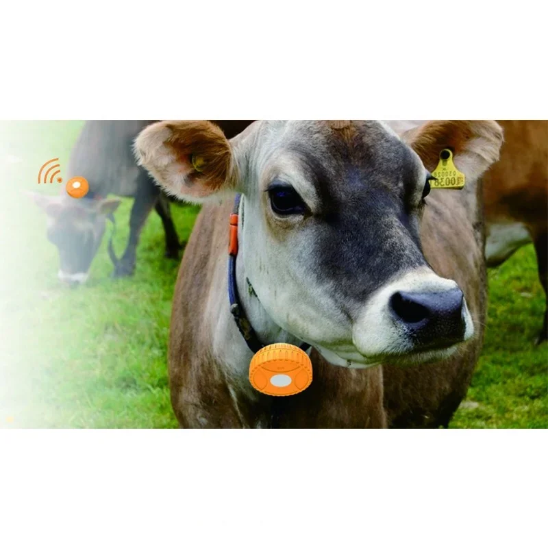 gps Mobile 2G mini animal tracker animal gps tracking device collares para vacas