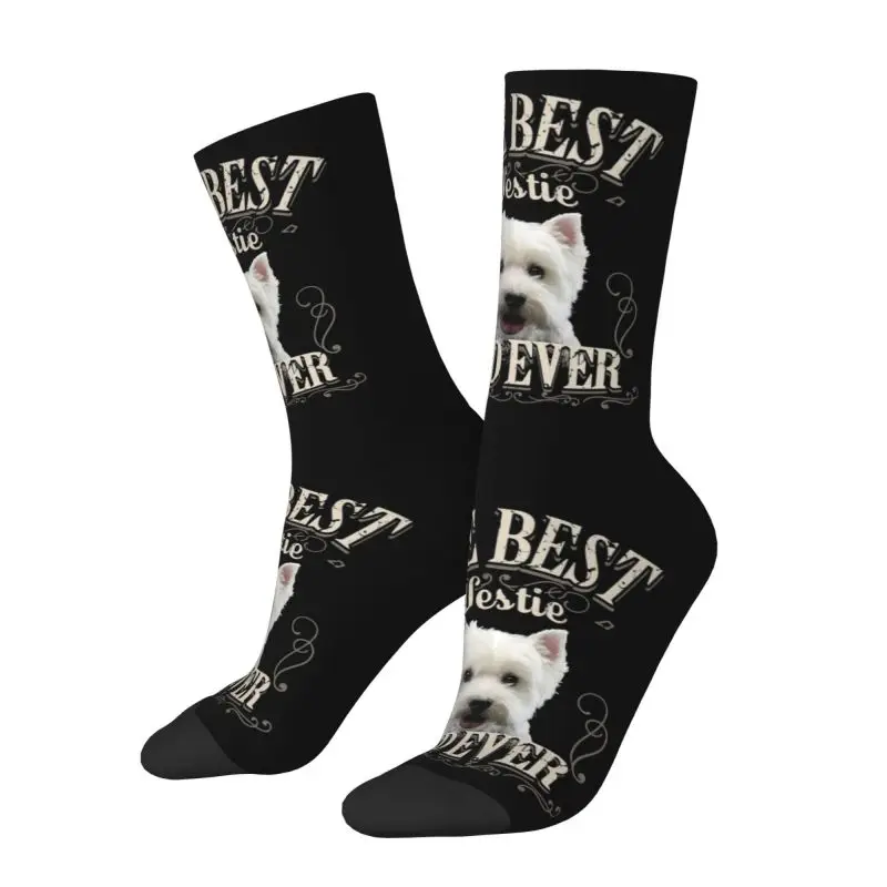 Fashion Printing Best Westie Dadever Socks for Men Women Stretch Summer Autumn Winter West Highland White Terrier Dog Crew Socks