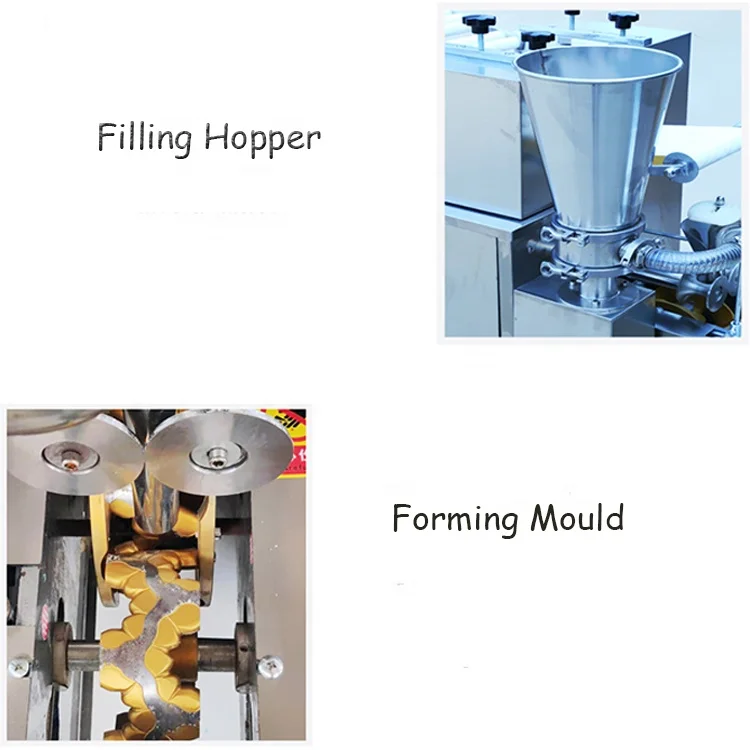 Automatic South Korea Dumpling Machine with CE Certificate