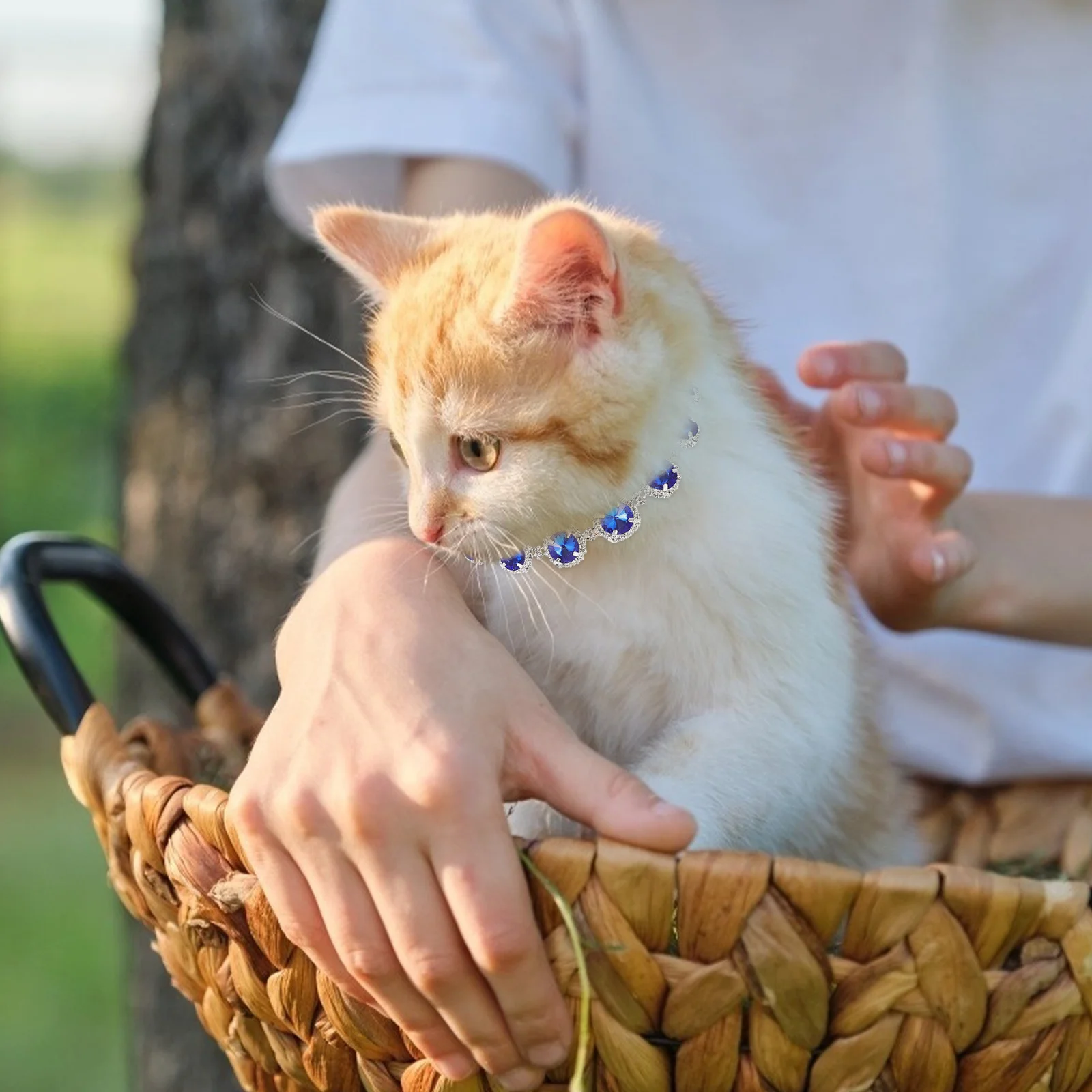 

Delicate Pet Necklace Decorative Kitten Collar Small Dog Accessory Fine Workmanship Beautiful Appearance Holiday Birthday Party