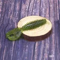 067-10pcs