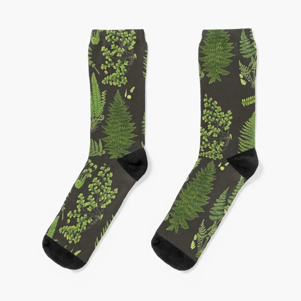 Fern Chart study Socks halloween Novelties happy sports and leisure Ladies Socks Men's