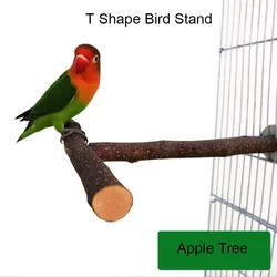 Natural Wood Pet Parrot Raw Wood Fork Tree Branch Stand Rack Squirrel Bird Hamster Branch Perches Chew Bite Toys Stick