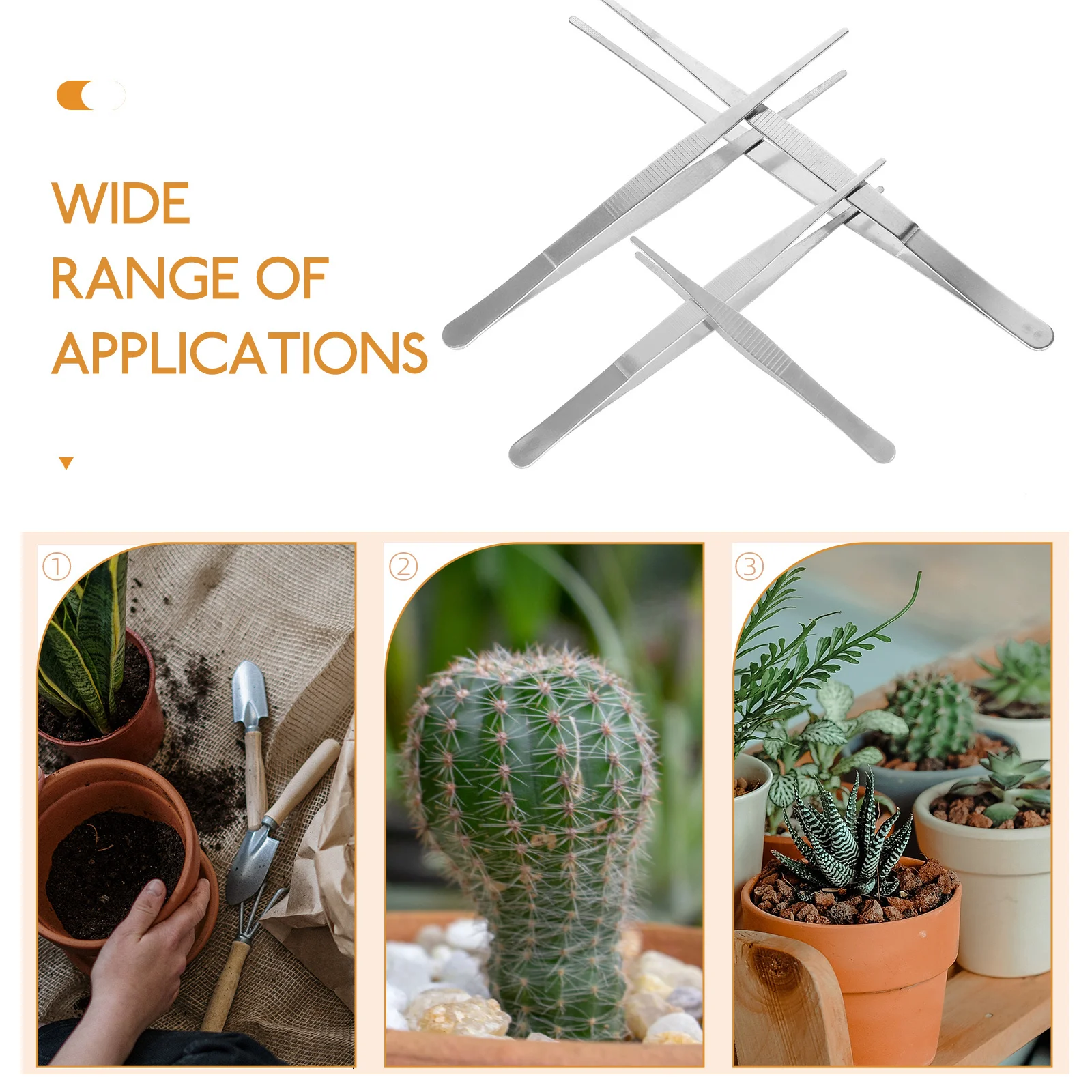 

4Pcs Stainless Steel Tweezers Garden Tool Succulent Planting Portable Gardening Accessory Small Plant Care Tool for Bonsai