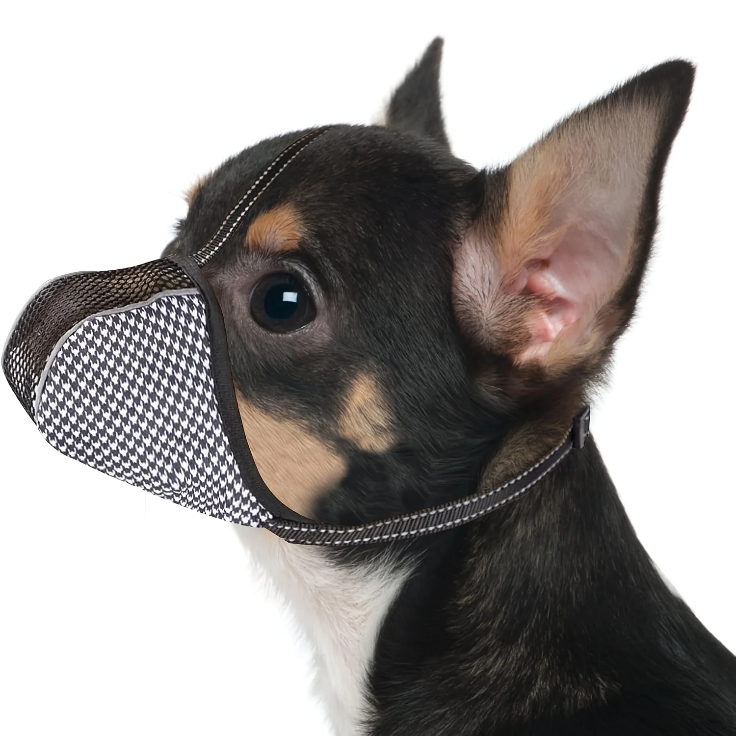 #1 Top Rated Dog Muzzles to Buy in 2026