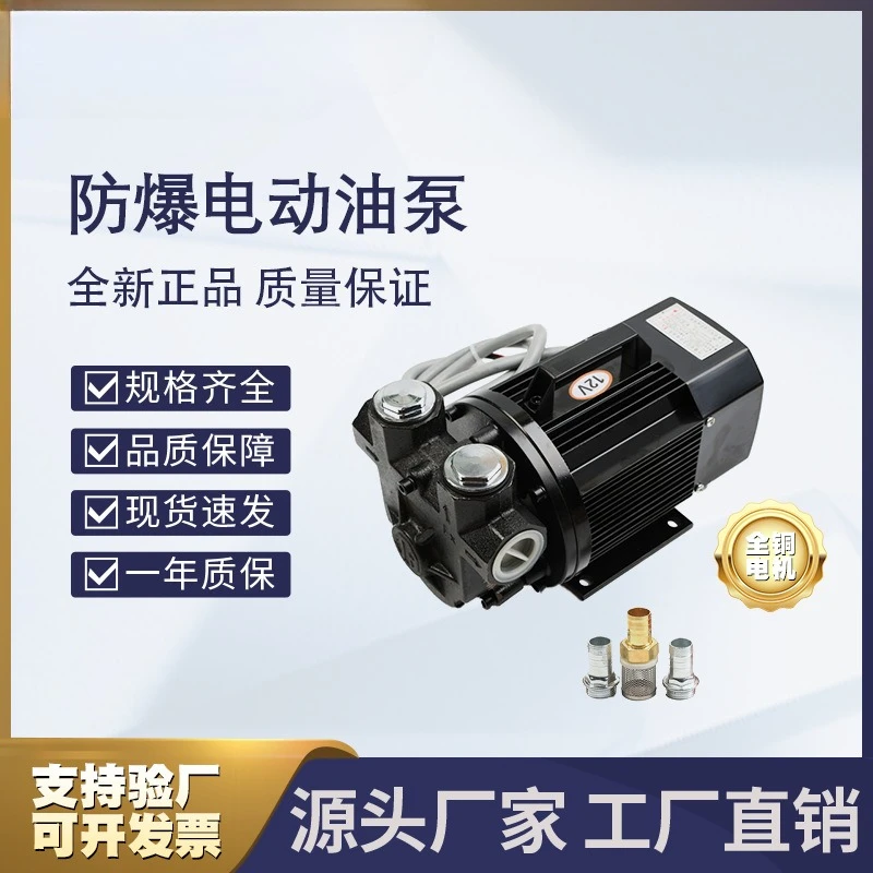 Explosion-proof electric oil pump Corrosion-resistant oil pump Silent oil pump 550W high-power DC explosion-proof