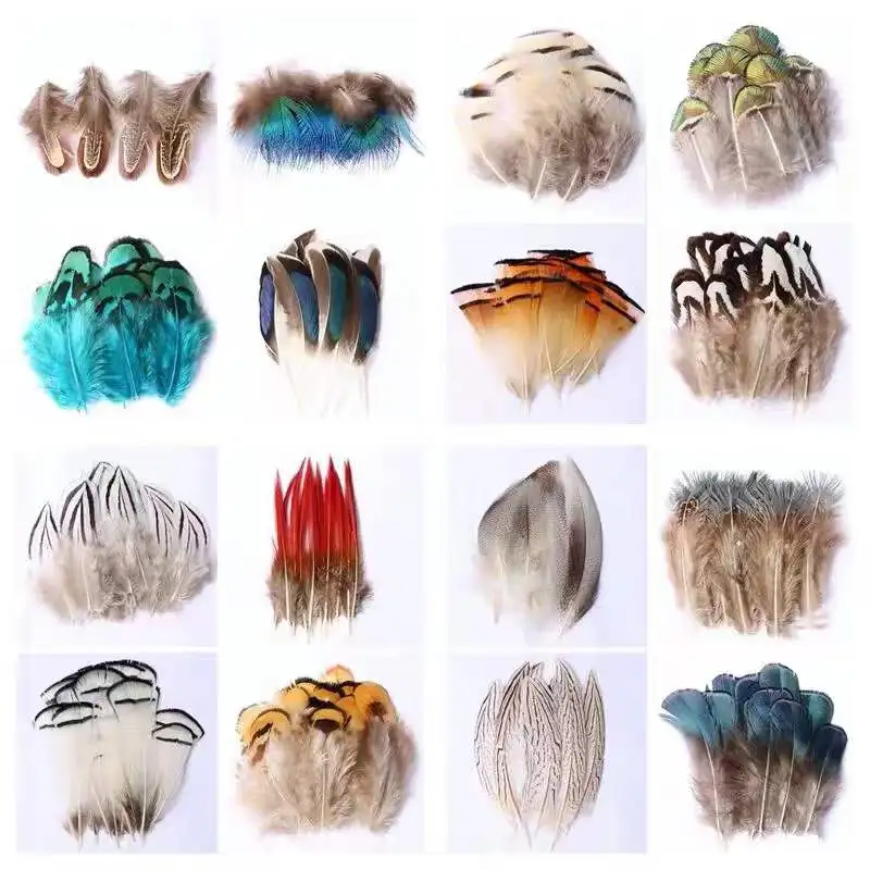 50Pcs Natural Pheasant Feathers Decoration DIY Carnival Jewelry Accessory Mixing Small Chicken peacock Plumes For Crafts 3-8cm