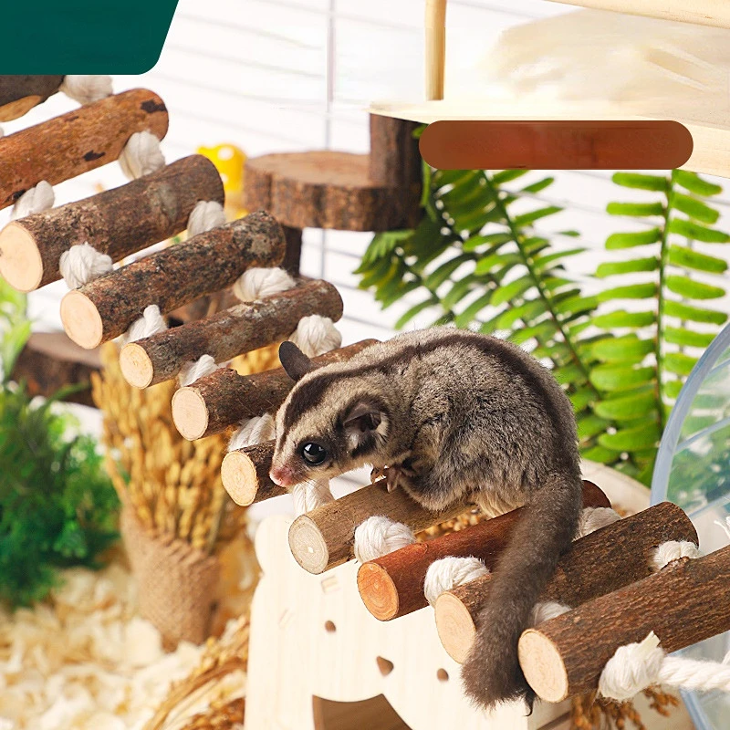 Hamster Chew Toys Small Animal Molar Toys Teeth Care Wooden Accessories for Guinea Pigs Chinchillas Gerbils Mice Rats Mouse