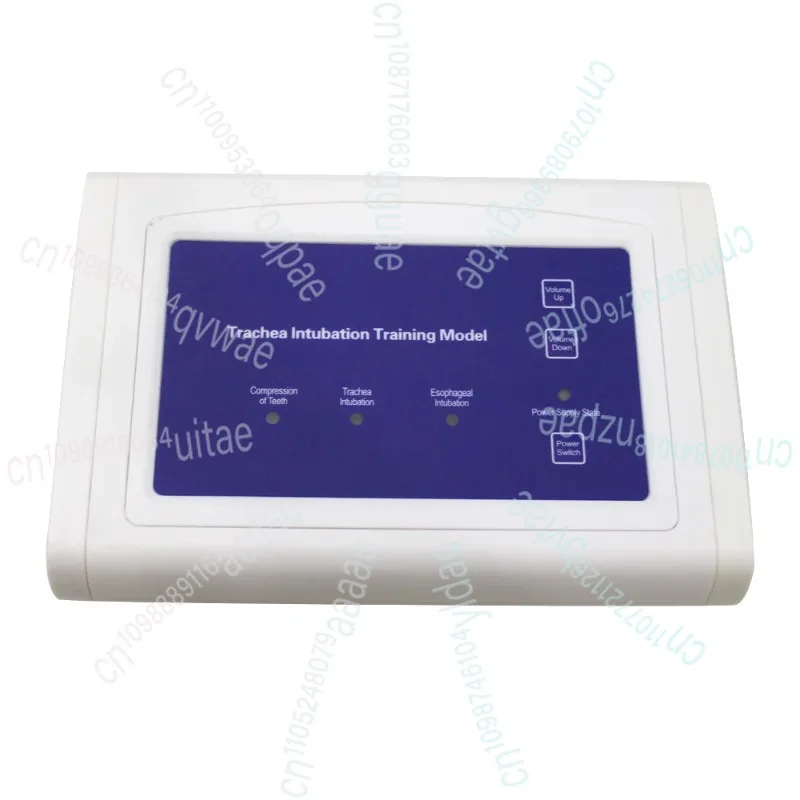 التنبيب القزم دراسة نموذج للتدريس إدارة مجرى الهواء المدرب PVC مع الأسنان 110-220 فولت