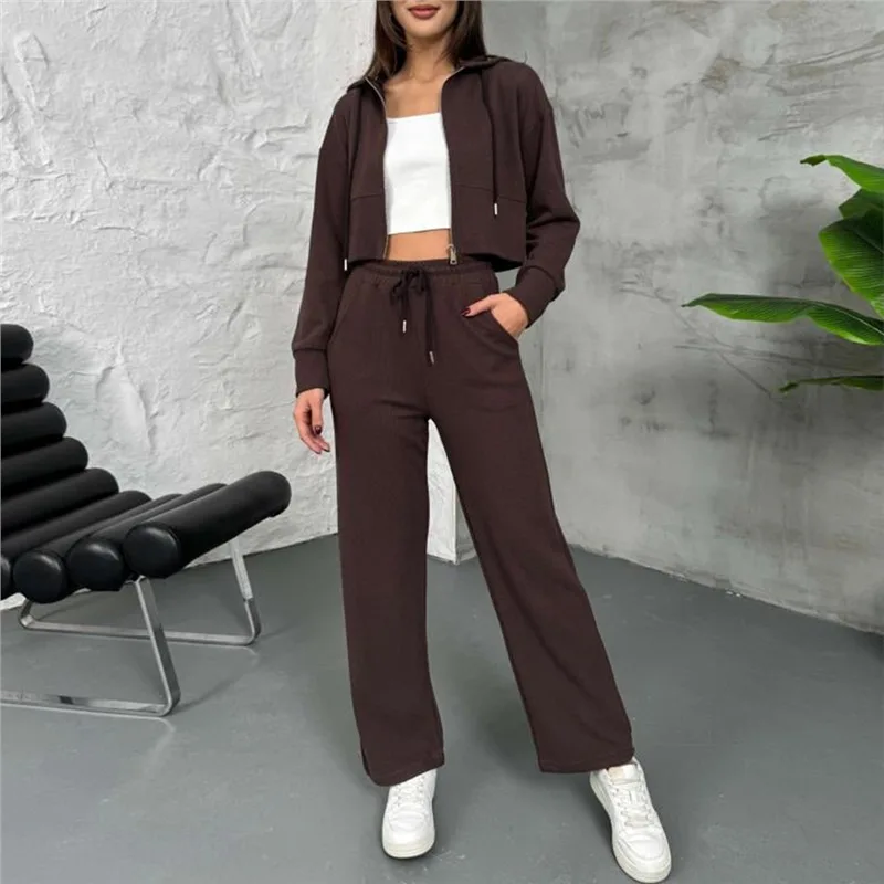 

Женские спортивные костюмы, зимний флисовый спортивный костюм, коричневые теплые укороченные толстовки на молнии и спортивные штаны, комплект для женщин, комплекты бархатных брюк из 2 предметов