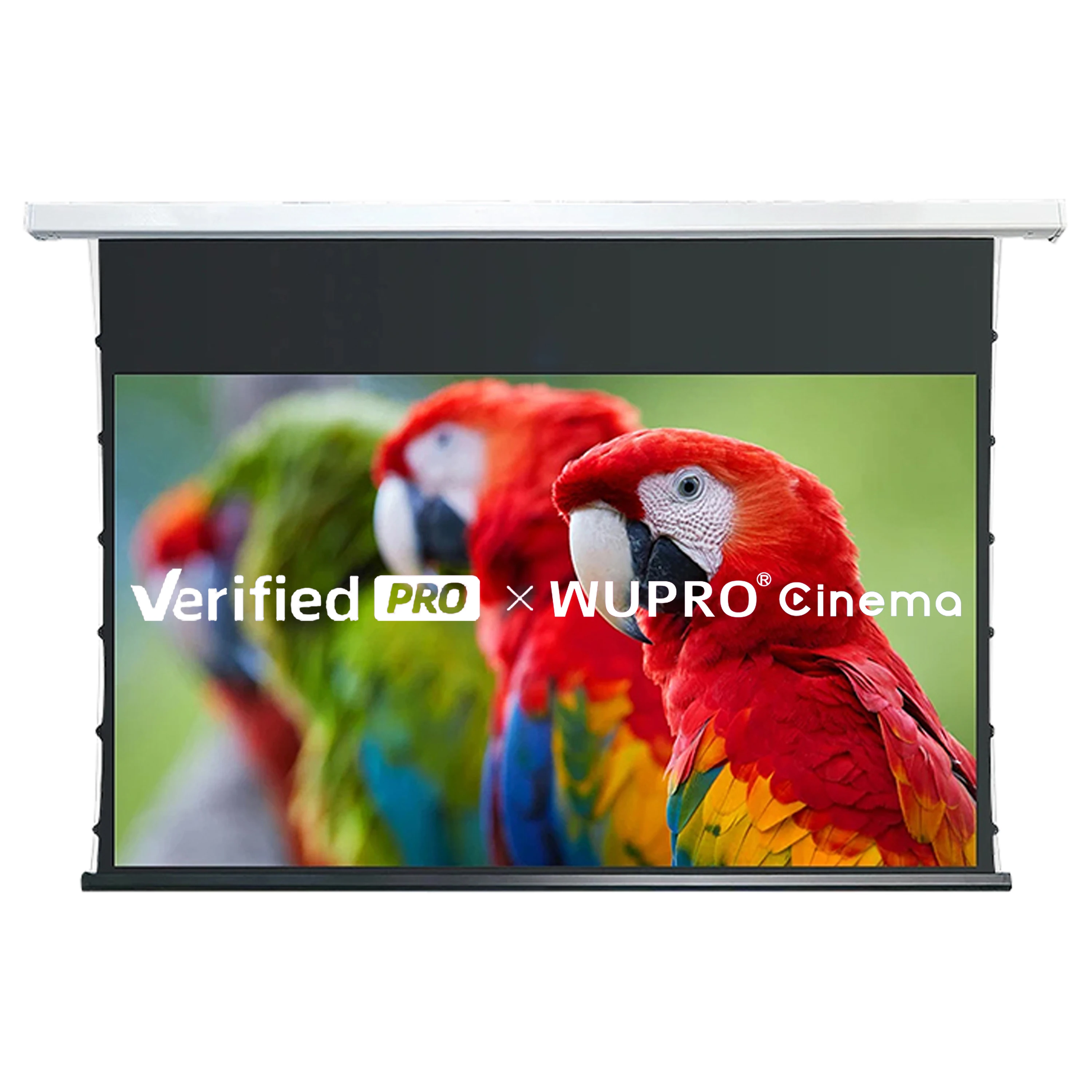 [OEM for popular brands]92-133 inch Wupro Smart Motorized Pull Down 4K Smart Remote Electric Projector Screen Drop Screen